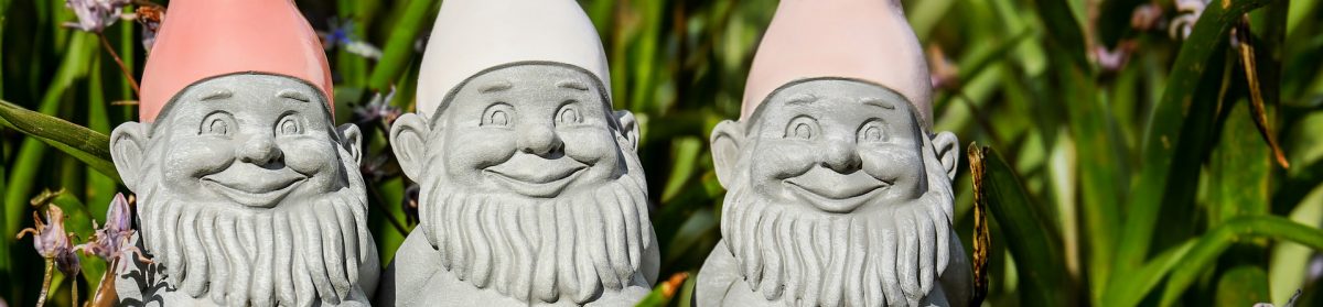 Gnomes n' More